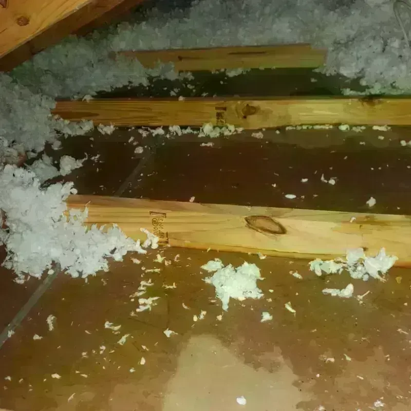 Attic Water Damage in Clinton County, OH