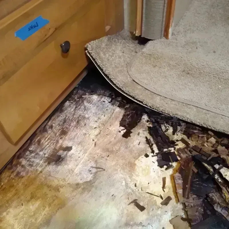 Wood Floor Water Damage in Clinton County, OH